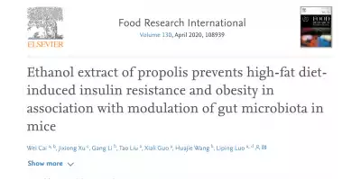 EFFECTS OF PROPOLIS ON OBESITY AND INSULIN SENSITIVITY