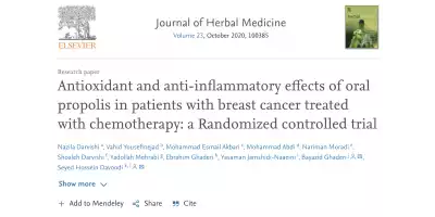 THE USE OF PROPOLIS IN CANCER PATIENTS RECEIVING CHEMOTHERAPY TREATMENT