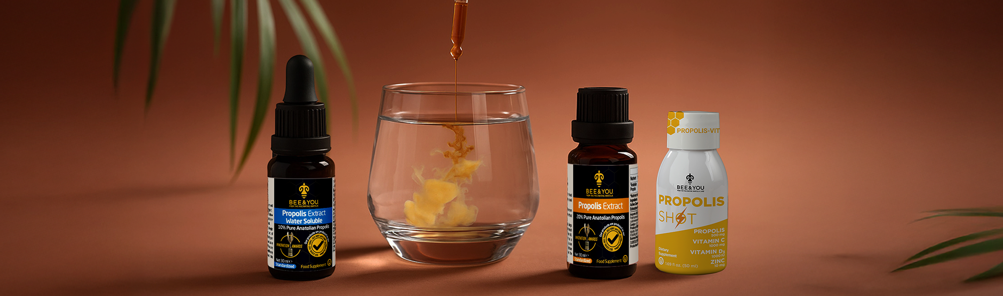 Immune Support Against Cold Weather: The Role of Propolis