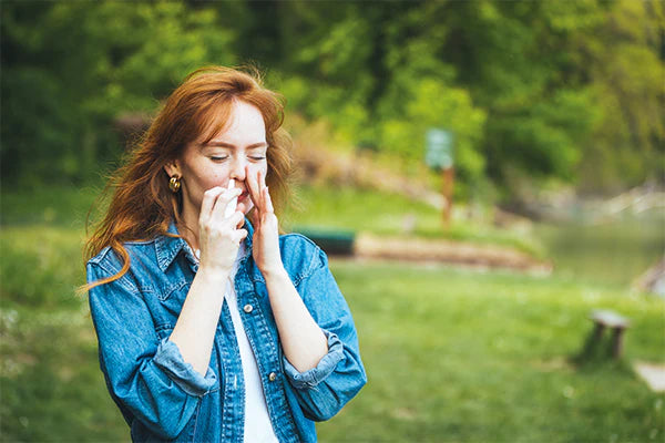 PROPOLIS NASAL SPRAY: