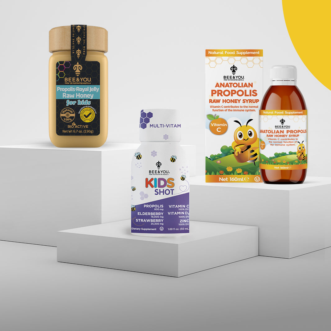 DE VUELTA A LA ESCUELA